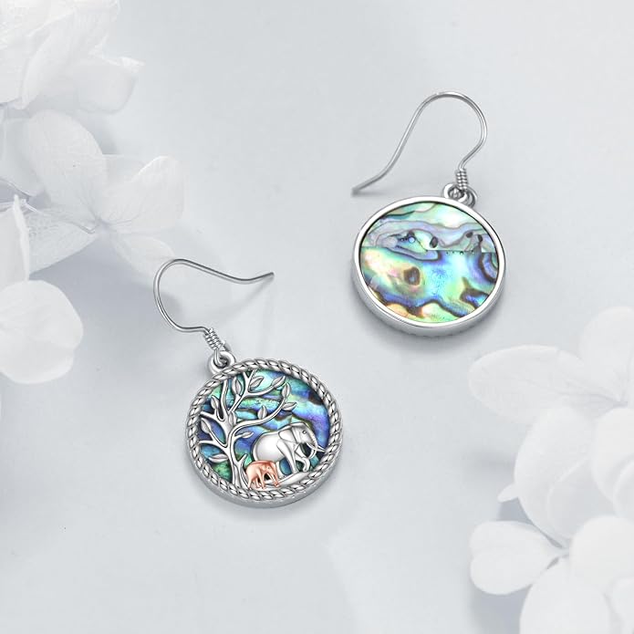 URONE 925 Sterling Silver Earrings Hook Dangle Earrings Jewelry Gifts for Women