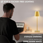 2-Pack LED Cordless Table Lamp 3W 5500mAh Rechargeable Battery Operated Stepless Dimmable Portable Lamp for Restaurant, Bedroom, Outdoor (Gold)