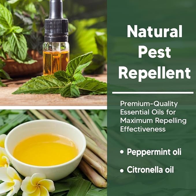 Pest Repellent, Rodent Repellent for Indoor/Outdoor, Mouse Repellent, Peppermint Repel Mice/Rat/Pest/Roach/Spider/Ant from Nesting in Car/RV/Garage/Shed/House, Safe for Kids and Pets - 8P