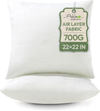 Ashler Throw Pillow Inserts 22 x 22 Inches Set of 2,Firm and Fluffy Decorative Square Pillows with Air Layer, Indoor Square Cushion Stuffer for Couch Bed Sofa and Living Room