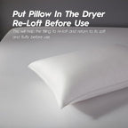 Globon Luxury Down Pillows Queen Size Set of 2 for Side Sleepers, 100% Cotton Shell Hotel Collection Bed Pillow for Sleeping, Firm Down Surrounded Feather Pillow 20" x 30"