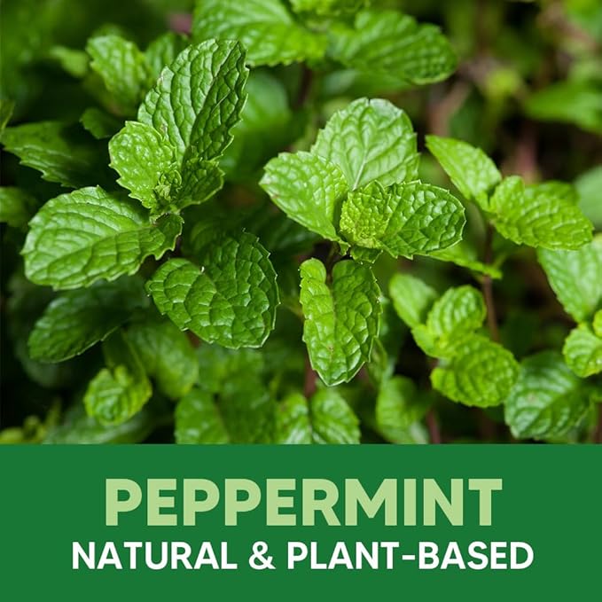 Rodent Repellent, Mouse Repellent Pouches, Mice Repellent Indoor, Rat Repellant for House, Mice Deterrent, Keep Mice Away, Extra-Strength Peppermint Effective for 80 ft² and 90 days-10P