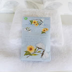 WILLOWBROOK | Fresh Scents Scented Sachet Packet | White Cotton | Air Freshener Bags for Drawers, Closets, Cars | 6 Pack | Long Lasting Home Fragrance