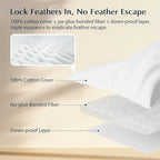 Pacific Coast Premium Goose Feather & Down Bed Pillows Queen Size 2-Pack, Hotel Quality Collection, Medium Support for Side & Back Sleepers