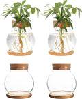 Plant Propagation Station,Hydroponic Glass Container Vase Jars, with Wooden Saucer for Desks, Houses, Garden Decorations, Home Kitchen Decorations and Gifts for Plant Lovers (4)