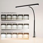 LED Desk Lamp for Office Home, Adjustable Flexible Eye-Caring Desk Light with,5 Modes 10 Brightness Adjustment, USB Adapter Desk Lamp with Clamp-T-B