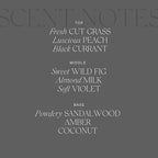 Antica Farmacista Home Ambiance Diffuser - Long-Lasting Reed Scent Diffuser - Luxury Room Freshener Gift - Fig Leaf, 16.9 fl oz