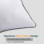 Luxurious Down Pillows - Standard Size, High Fill Power, Breathable Cotton Blend Shell,Down Pillow Ideal for Every Night (Off White, Queen (Pack of 1))