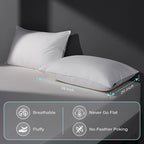 Goose Feather Down Pillow Standard Size Set of 2, Hotel Collection Bed Pillows for Sleeping, 2 Pack, Down Surrounded Soft Medium Firm Pillows for Side Back Sleepers 20 x 26 in.
