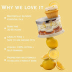HomeWorx by SLATKIN + CO. Candle- Limoncello Cupcake, 18 oz. Premium Scented Candle - 30-55 Hours Burn Time