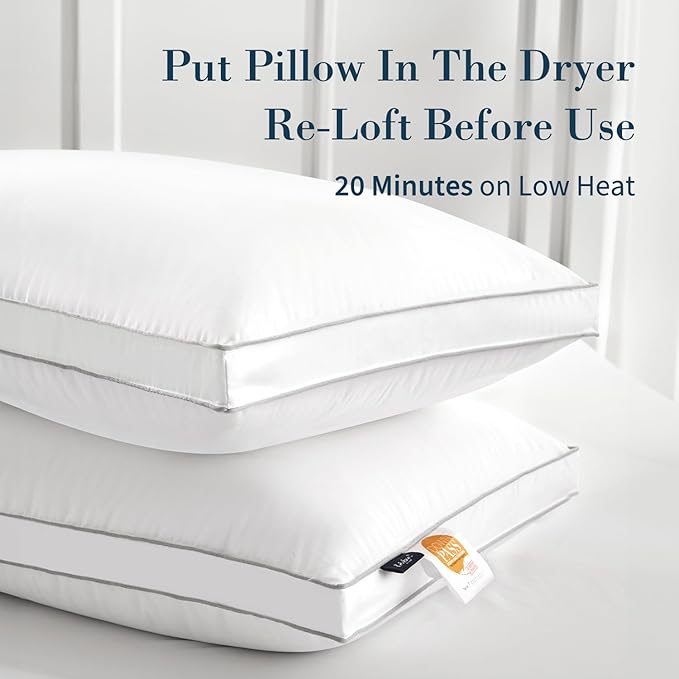 Globon Luxury Feather Down Pillow Standard Queen Size,Firm Gusseted Bed Pillows for Sleeping, Hotel Collection Fluffy Pillow,18"X26", Set of 2