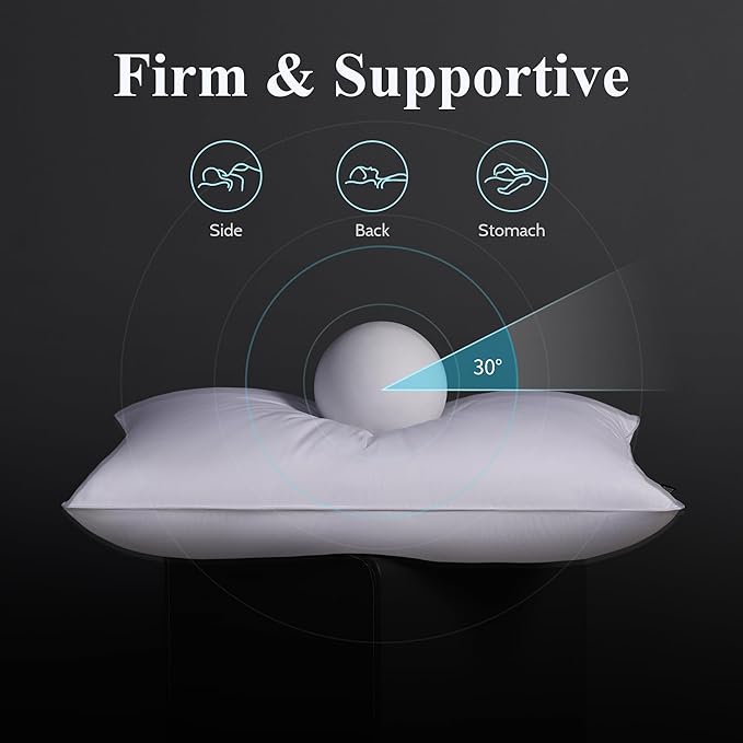 Goose Feather Down Pillow Standard Size Set of 2, Firm Hotel Collection Bed Pillows for Sleeping, 2 Pack, Down Surrounded Pillows for Side Sleepers 20 x 26 in.