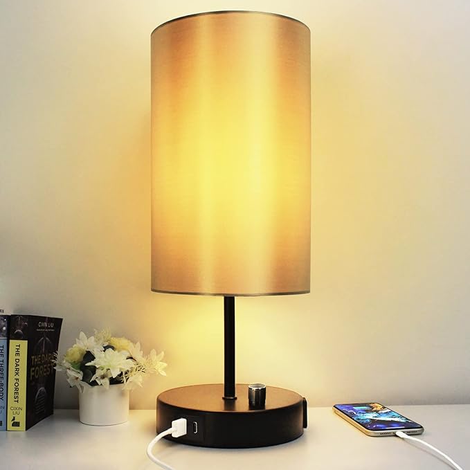 HiBay 17.75" Dimmable Bedside Table Lamp with Charging Station - 2 USB Ports & AC Outlet, Industrial Black Nightstand Light with Silver-Gray Shade for Living Room Dorm Office, Bulb Included