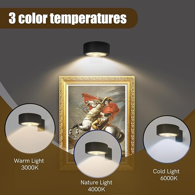 Wall Mounted Picture Light, Magnetic Poster Light, 13 Types of RGB, Remote Dimming Timer, Art Display Wall Mounted Decorative Light