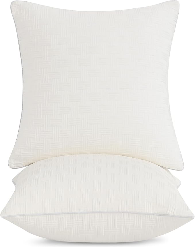 Leeden 22x22 Pillow Inserts Set of 2-22 Inch Decorative Throw Pillow Insert, Soft Fluffy Square Throw Pillows for Couch Bed, Beige Couch Pillow Insert Pair