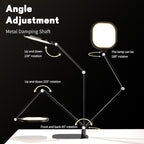 LED Desk Lamp for Home Office, Eye-Caring Diffused Desk Light, 3 Color Temperature 10 Brightness Computer Light, Dimmable Desk Light with Memory & Timer Func, Metal Swing Arm Table Lamp