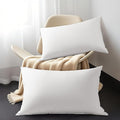 Shilucheng Goose Down Pillow Queen Size Set of 2 Pack,900+ Fill Power Luxury Hotel Quality Bed Feather Pillow for Side Back Stomach Sleepers, Soft 100% Cotton Shell（White,20" x 30"） FX