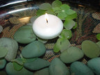 D'light Online Floating Candles Bulk Pack for Events, Weddings, Spa, Home Decor, Special Occasions and Holiday Decorations (Large - 3" (Set of 3), White)