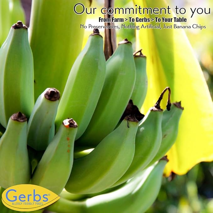 Gerbs Unsweetened Banana Chips 14 oz. | Unsulfured, No Artificial Additives, Resealable Bag | Naturally Crisp & Mildly Sweet | Top 14 Allergen-Free