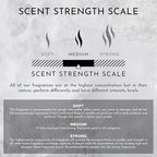 ENVIRONMENT Inspired by 5-Star Resort DBCH Room Spray, 100ml Air Freshener (Green Tea | Orange | Lemongrass) Home Fragrance Accessories, Room Perfume, Room Deodorizer, Vegan & Cruelty-Free