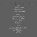 Antica Farmacista Home Ambiance Diffuser - Long-Lasting Reed Scent Diffuser - Luxury Room Freshener Gift - Lemon, Verbena & Cedar, 8.45 fl oz