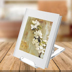 10 Pack Acrylic Book Stand for Display Adjustable Clear Display Holder Easel Collector Stand for Home Office Back to School Comic Album CD Magazine Postcard Artworks (4.2 x 4.3 x 2.35 Inch)