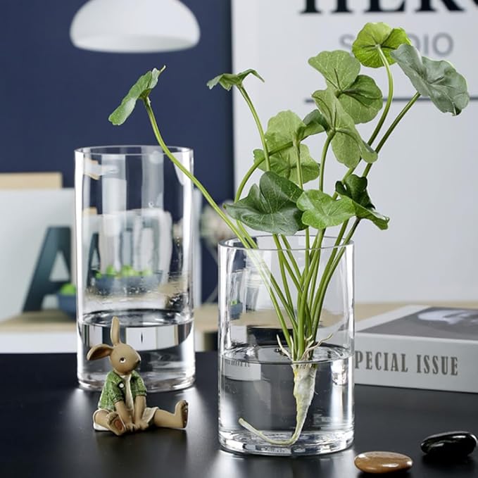 WGVI Quality Thick Clear Cylinder Glass Vase, 3" W x 5" H, Floral Container, Glass Candle Holder, Flower Vases, Wedding Centerpiece, Planter Terrarium, Table Top Home Décor Accent, 1 Piece