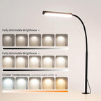 LED Desk Lamp for Office Home, Adjustable Flexible Eye-Caring Desk Light with,5 Modes 10 Brightness Adjustment, USB Adapter Desk Lamp with Clamp-MINI-B