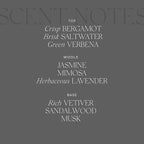 Antica Farmacista Home Ambiance Diffuser - Long-Lasting Reed Scent Diffuser - Luxury Room Freshener Gift - Santorini, 8.45 fl oz