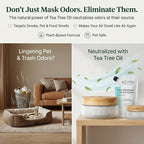 Azuna Air Freshener & Odor Eliminator for Strong Odor | 2 Room Kit Includes (2) 8 oz. Empty Luxe Glass Jars & 12 oz | Refill with Tea Tree Essential Oil Gel | Amalfi Breeze | Last 60-90 Days