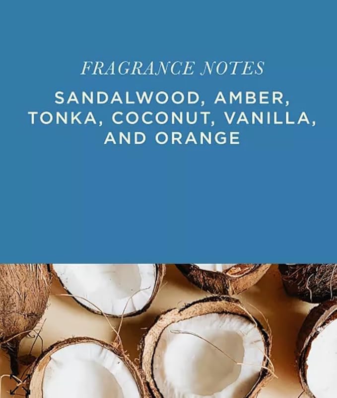 Aromatique, Scented Decorative Potpourri Bag of Fragrant Bowl Filler for Home and Office, Perfect for Bridal Showers, Holidays, Decorative Bowls, Fragrance (Sunkissed Sandalwood, 7 oz)