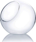 WGV Slant Cut Bowl Glass Vase, Width 9", Height 9", Clear Round Globe Planter Terrarium Orb, Candy Dish, Fruit Jar, Floral Container for Home Office Decor, 1 Piece