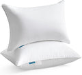 Oubonun 14 x 22 Pillow Inserts (Set of 2) - Lumbar Pillow with 100% Cotton Cover - Rectangle Square Interior Sofa Pillow Inserts - Decorative Pillow Insert Pair - White Couch Pillow