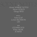 Antica Farmacista Home Ambiance Diffuser - Long-Lasting Reed Scent Diffuser - Luxury Room Freshener Gift - Wave, 10.8 fl oz