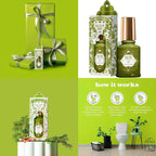 Poo-Pourri Before-You-Go Toilet Spray Holiday set, Hollyday Spice, Mistletoe Spritzes, Oh Spritzmas Tree, Berry and Bright, Balsam Bum