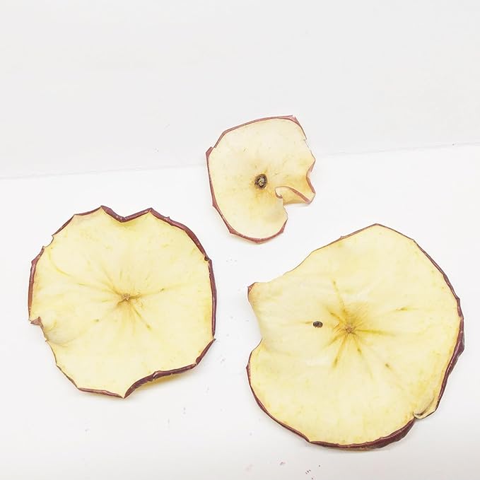 Drink Botanicals Ireland | Dehydrated Dried Apple Slices | 40 + Slices | 100% Natural | Non GMO, Vegan | Apples for Garnishing Cocktails, Baking, Sauces, Cakes, Decoration | 135 Grams, 4.76 Oz | Jar