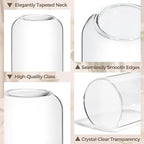 ComSaf Small Flower Vase Set of 12, Glass Bud Vases in Bulk, Clear Vases for Flower, Decor Centerpiece for Bathroom, Decorative Vases for House Warming, Valentines' Day, Mother's Day, Thanksgiving Day