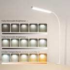 LED Desk Lamp for Office Home, Adjustable Flexible Eye-Caring Desk Light with,5 Modes 10 Brightness Adjustment, USB Adapter Desk Lamp with Clamp-LK-W