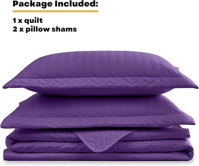 Maple&Stone Quilt Set Twin Size, Purple Lightweight Bedspread Ultrasonic Chevron Pattern Light Coverlet for All Season Comforter Bedding Decor - 2 Piece Twin Bed Cover Sets