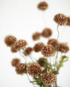 DuHouse 6pcs Artificial Flowers Faux Silk Pompon Mum,Silk Small Mini Chrysanthemum Ball with Stems for DIY Wedding Bouquets Centerpieces Vase Home Table Kitchen Decoration(Coffee)