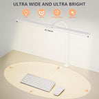Dual-Head LED Desk Lamp for Office Home, Adjustable Flexible Eye-Caring Desk Light, 5 Modes 10 Brightness Adjustment, USB Adapter Desk Lamp with Clamp-ST-W
