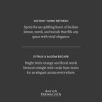 Antica Farmacista Room Spray - Elegant House Spray - Long-Lasting, Room Fragrance - Luxury Gift for Housewarming - Neroli & Tonic, 3.4 fl oz