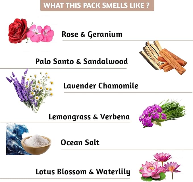 Incense Sticks (A Fresh Start, Set of 12 (240 Sticks) with Holder)