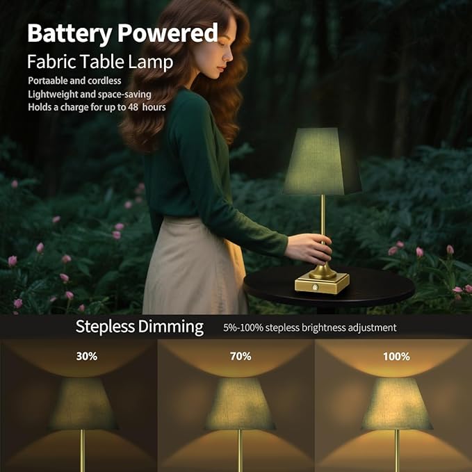 Rechargeable LED Table Lamps with Stepless Touch Control,Golden Cordless Lamp for Living Room&Bedside&Patio&Shower,Small Desk Lamp(6000mAH Battery),2 Pack for Home Decor,Best Gifts for Family