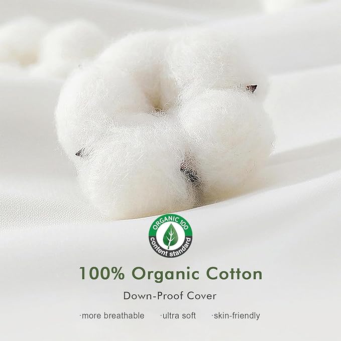 Feathers Down Pillow Inserts 14x24, Set of 2, 100% Organic Cotton Shell, Soft Decorative Lumbar Pillow Insert for Living Room Sofa, Couch, or Bed (White)
