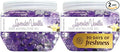 SMELLS BEGONE 12 oz Odor Eliminator Gel - Air Freshener - Absorbs & Eliminates Odors in Pet Areas, Bathrooms, Boats, RVs & Cars - Made with Essential Oils - Lavender Vanilla (2-Pack)