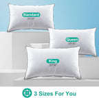 APSMILE Luxury Goose Feathers Pillow for Sleeping, Medium Firm Feather Down Pillows King Size Set of 2, Organic Cotton Cover Hotel Collection Bed Pillows for Side Sleeper (White, 20"x36")
