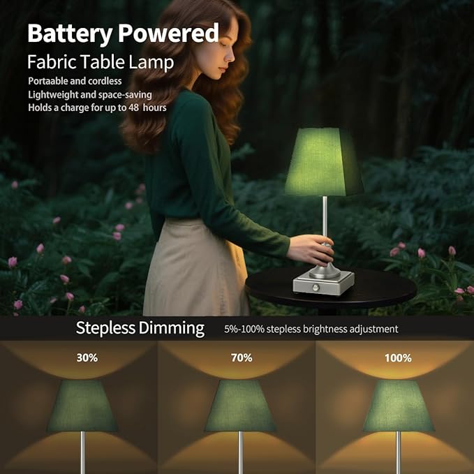 Rechargeable LED Table Lamps with Stepless Touch Control,Sliver Cordless Lamp for Living Room&Bedside&Patio&Shower,Small Desk Lamp(6000mAH Battery),2 Pack for Home Decor,Best Gifts for Family