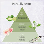 Pure Lily Luxury Japanese Incense Sticks 60sticks Bergamot Vanilla Jasmine Coreless Low Smoke Natural Charcoal Free Non Toxic Aromatherapy Meditation Calming Stress Relief Relaxation Yoga TOMORI