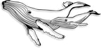 LIYOUYA Whale Metal Wall Decor - Ocean Life Art Room Decor Simple Line Black Wall Art Home Decor for Living Room, Bathroom, Bedroom, Dining Room (Black)